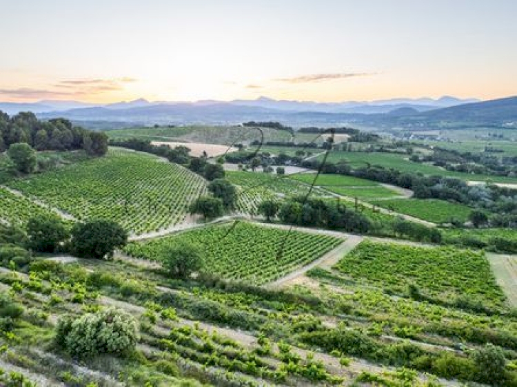 La biodiversité de Rasteau : l'une des plus belles de la Vallée du Rhône