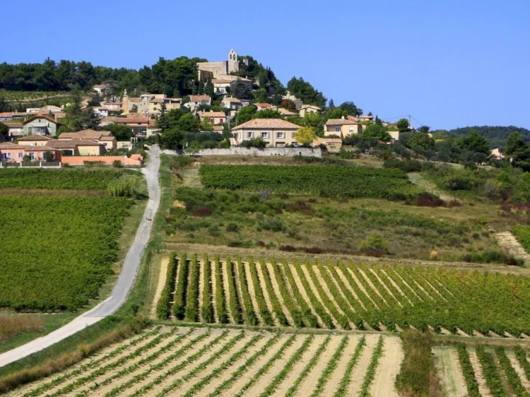 Servez le vin doux naturel de Rasteau sur vos tables de fêtes