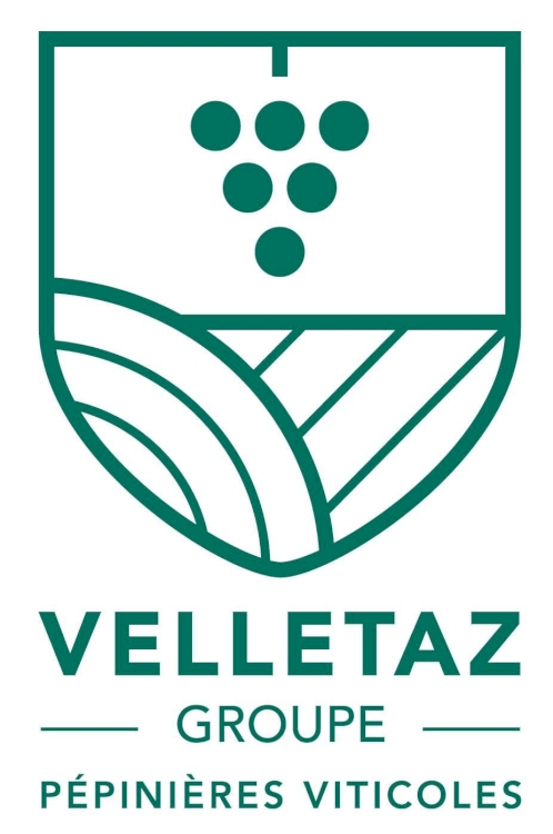 Velletaz